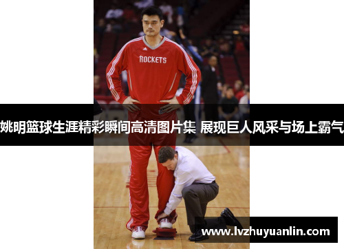 姚明篮球生涯精彩瞬间高清图片集 展现巨人风采与场上霸气